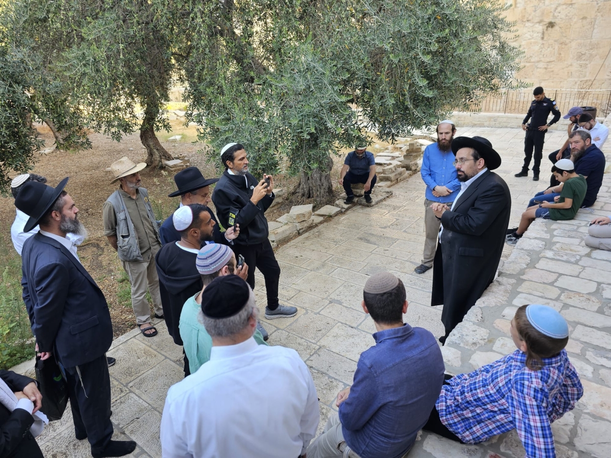 Rabbi Eliyahu Weber on the Temple Mount
