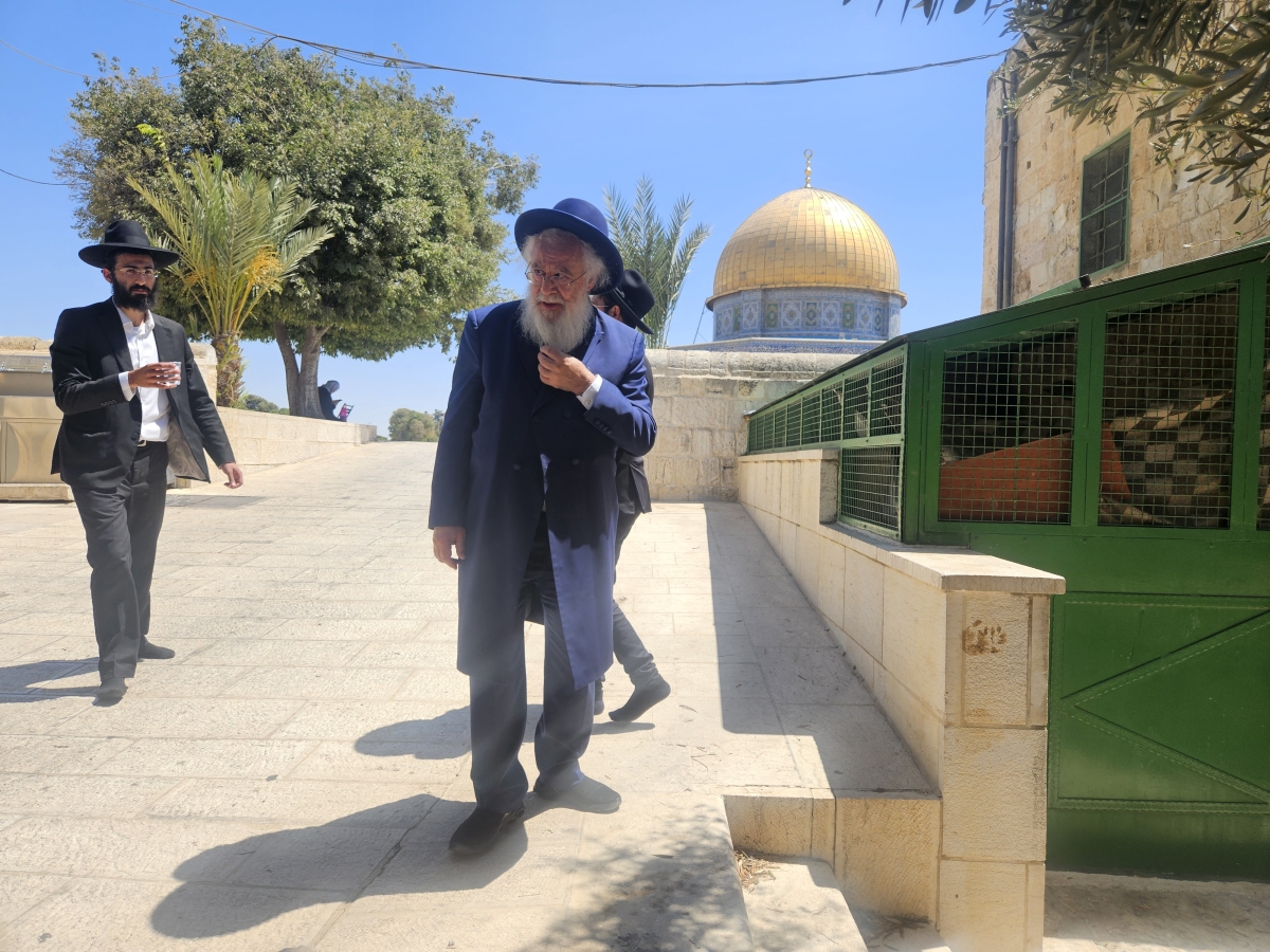 הרב שריקי